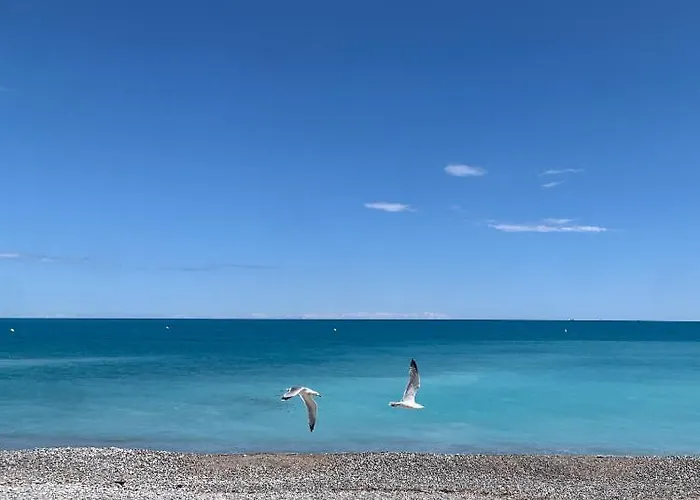 شقة Studio Chambre Hote مينتون