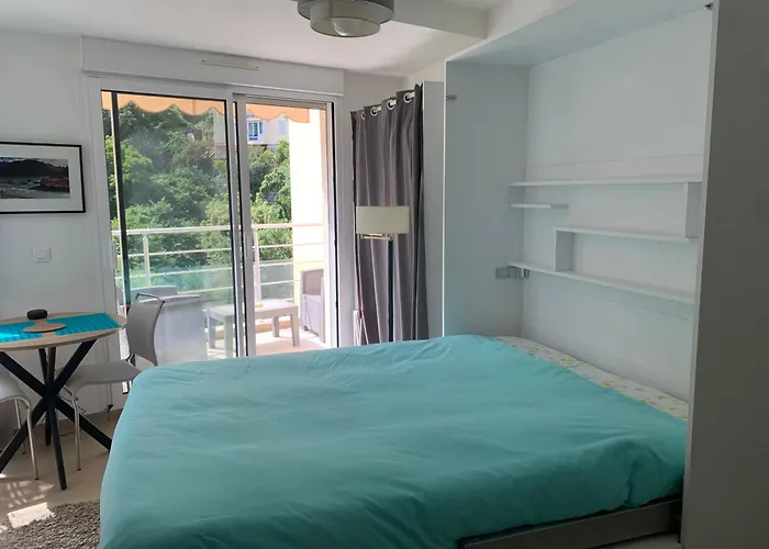 Studio Chambre Hote مينتون